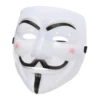 Budget Anonymous Vendetta Guy Fawkes Halloween Fancy Dress Mask