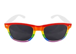 Adults Rainbow Gay Pride Dark Glasses LGBT Stay Safe NHS Sunglasses