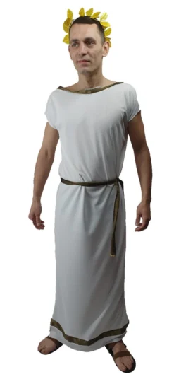 Adults Deluxe Roman Grecian Greek Toga Tabard Robes & Laurel Historical Fancy Dress Costume 5 Adults Deluxe Roman Grecian Greek Toga Tabard Robes & Laurel Historical Fancy Dress Costume -Halloween Cosplay apih3zjm7 68605.1620416481