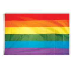 Rainbow 5ft X 3ft LGBT Gay Pride Festival Party Stay Safe NHS Flag